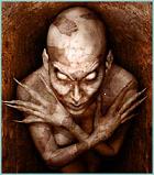 [b4e] Doctorfenix Logo