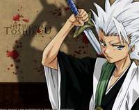 Hitsugaya Toushirou Logo