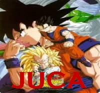 [VOC] JUCA II Logo