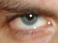 Wolfman Amadeus Logo