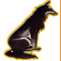 [sTn] Wontolla GM Logo