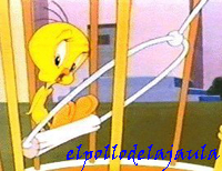 [V.R.] elpollodelajaula Logo