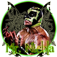 Mr. Niebla Logo