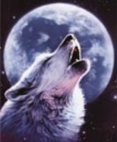 Exkalibur Colmillo De Fuego Logo