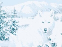 rei_okami_no_kori Logo