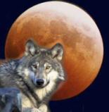 [L.D] Londo Mollari Logo