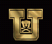 [REBEL] AURIAZUL13 Logo