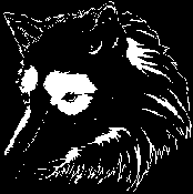 darth_wolf Logo