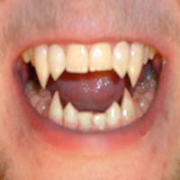 [EVA] PaNTHeoNZ Logo