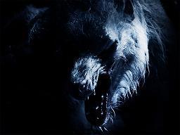 William Corvinus_ Logo