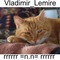 Vladimir_Lemire Logo