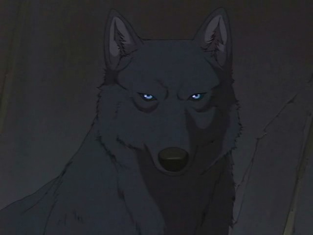 Siryu Rug Narok Logo