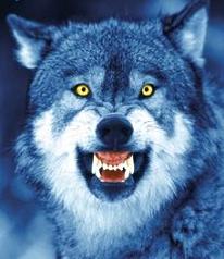 Beldar Dark Wizard Logo