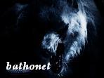 BATHONET Logo