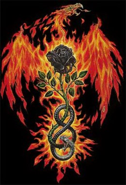 Cecilia Darklan Logo