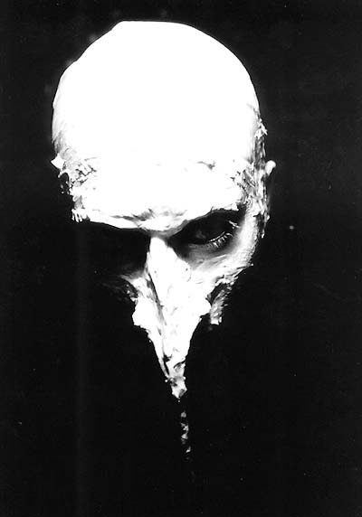 dark_nosferatus Logo