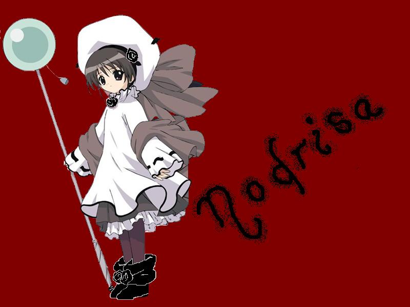 nodrisa Logo
