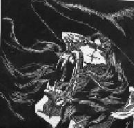 Cornelius Morelli Logo