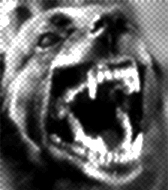 centurionbastardo Logo