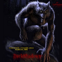 DarkShadown Logo